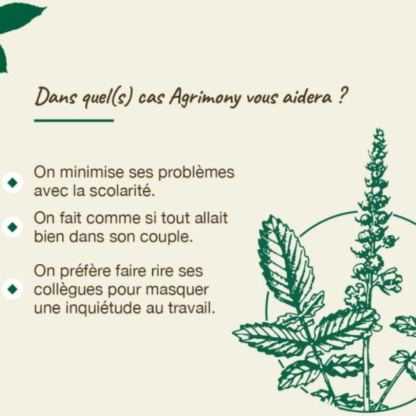 Fleurs de Bach Original Agrimony 20ml