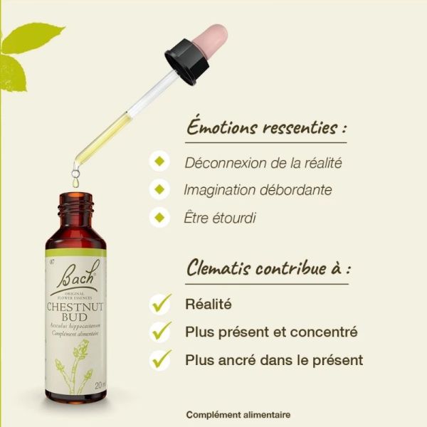 Fleurs de Bach Original Clematis 20ml
