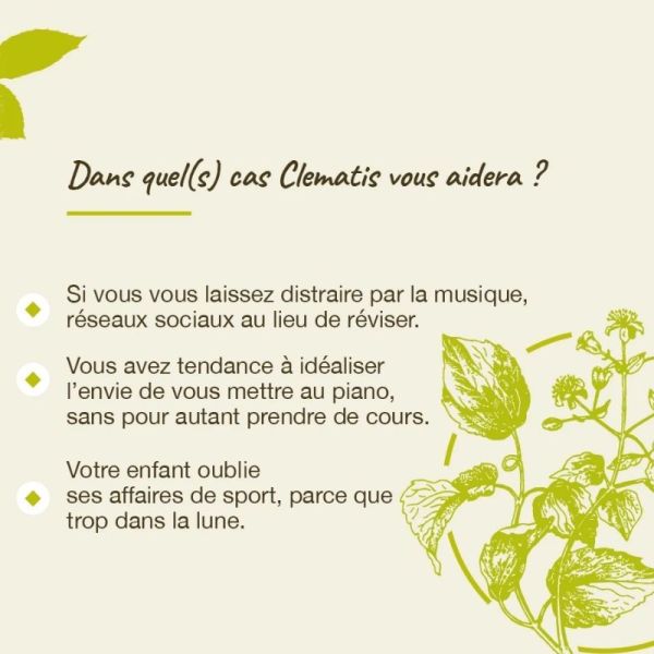 Fleurs de Bach Original Clematis 20ml