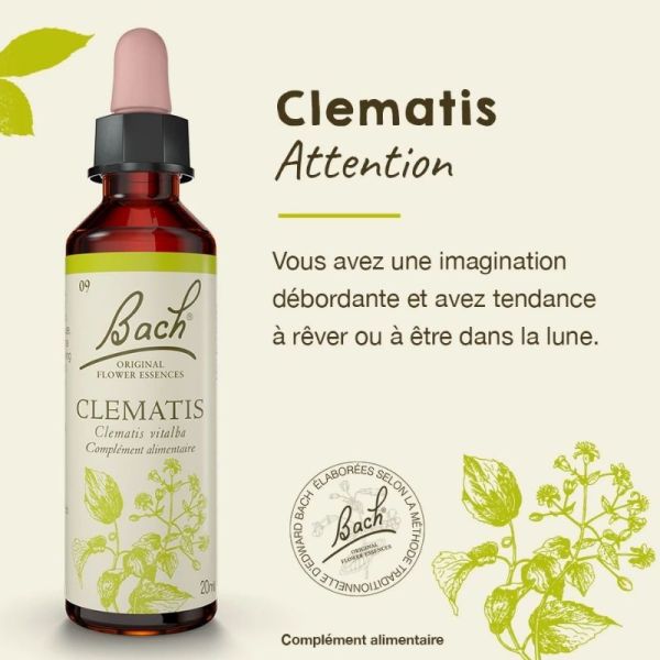 Fleurs de Bach Original Clematis 20ml