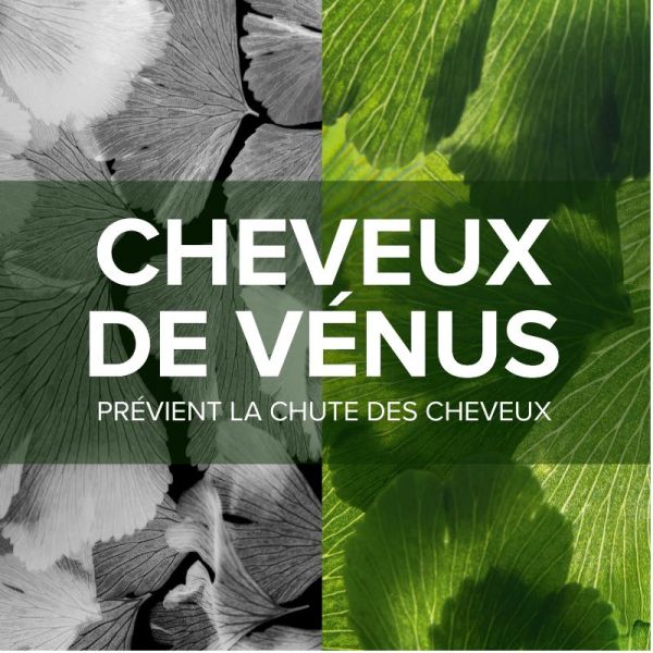 Arkopharma Forcapil anti chute cheveux et ongles dévitalisés 90 comprimés