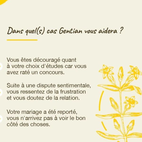 Fleurs de Bach Original Gentian 20ml