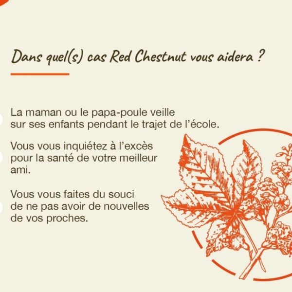 Fleurs de Bach Original Red Chestnut 20ml