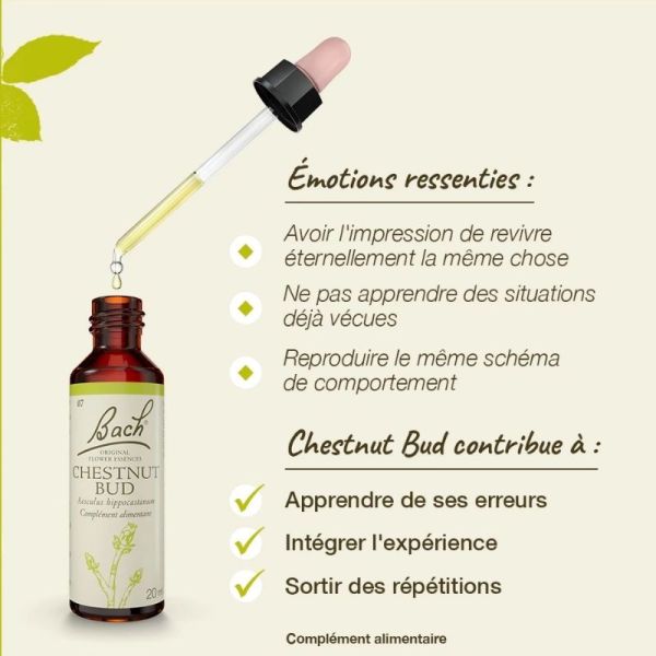 Fleurs de Bach Original Chestnut Bud 20ml