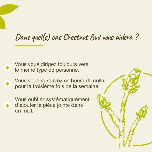 Fleurs de Bach Original Chestnut Bud 20ml