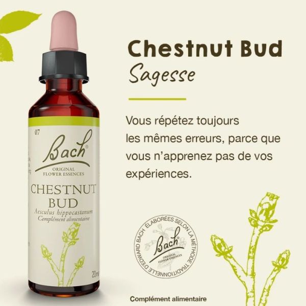 Fleurs de Bach Original Chestnut Bud 20ml