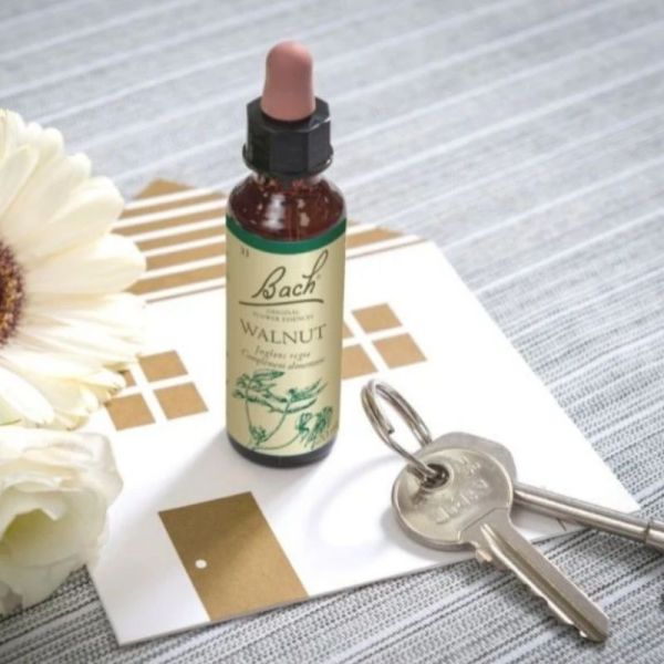 Fleurs de Bach Original Walnut 20ml