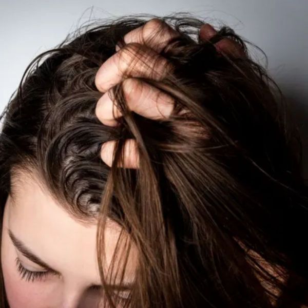 Klorane shampoing Cédrat légèreté cheveux normaux 100ml