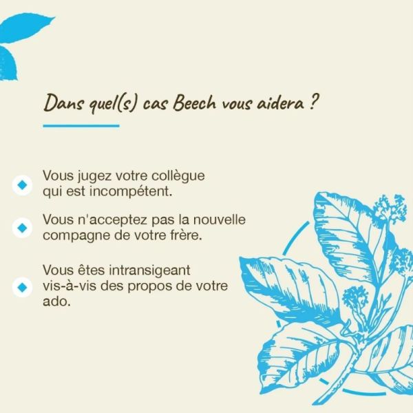 Fleurs de Bach Original Beech 20ml