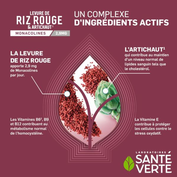 Sante Verte Levure riz rouge & artichaut cholestérol 60 comprimés