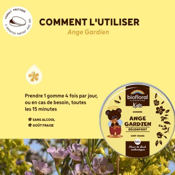 Biofloral gomme Ange Gardien Bio 45g