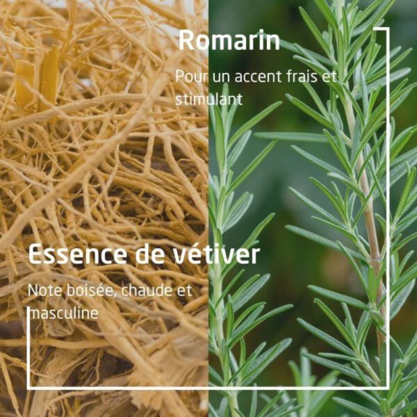 Weleda homme gel douche Active Fresh 3 en1 200ml