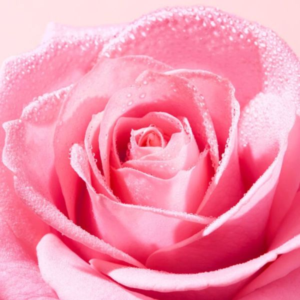 Nuxe Very Rose gelée nettoyante apaisante 150ml