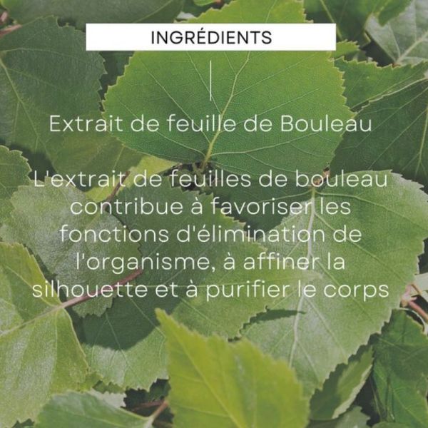 Weleda bouleau huile de massage minceur 100ml