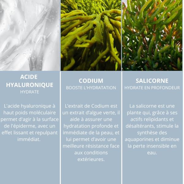 Algologie crème des Vagues hydra fondante 50ml