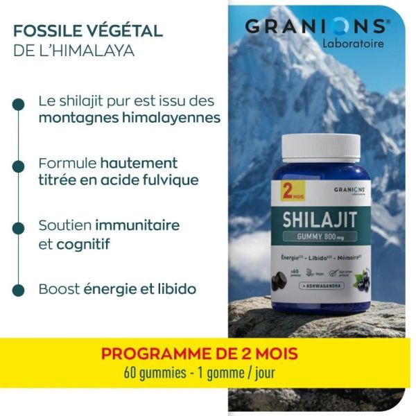 Granions Shilajit 800mg saveur cassis 60 gummies