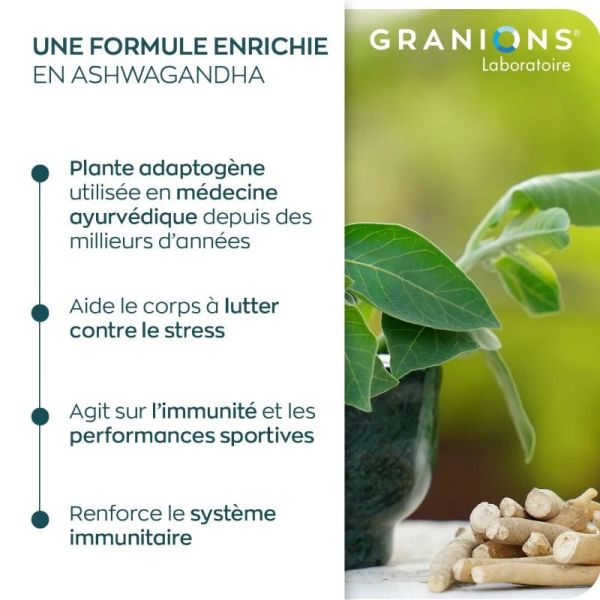Granions Shilajit 800mg saveur cassis 60 gummies