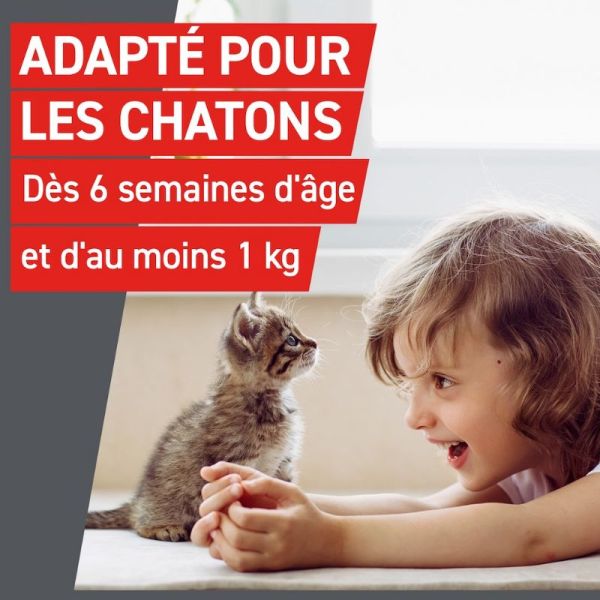 Frontline Frontcontrol-Wormer Vermifuge Chats 2 comprimés