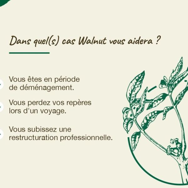 Fleurs de Bach Original Walnut 20ml