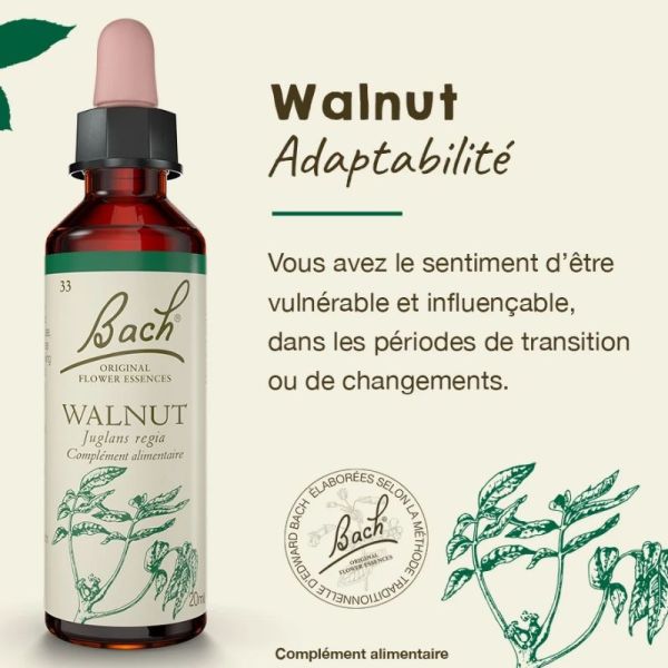 Fleurs de Bach Original Walnut 20ml