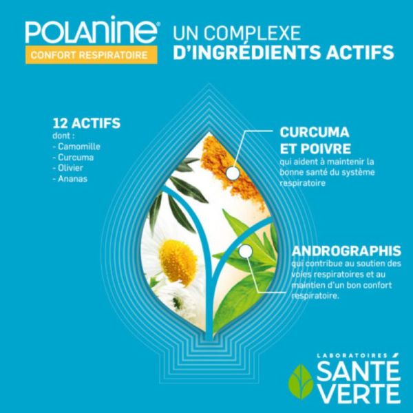 Sante Verte Polanine confort respiratoire 30 comprimés
