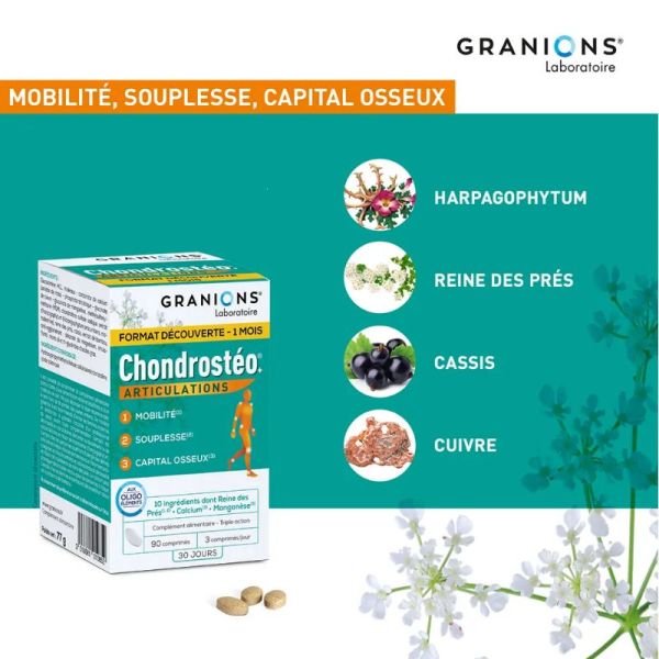 Granions Chondrosteo+ articulations 90 comprimes