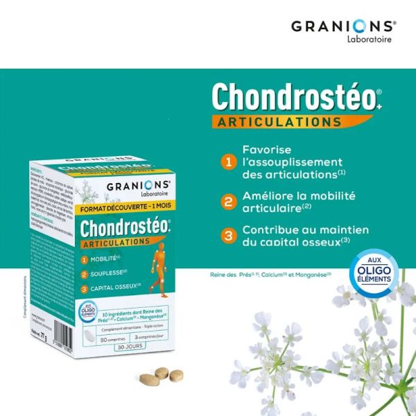 Granions Chondrosteo+ articulations 90 comprimes