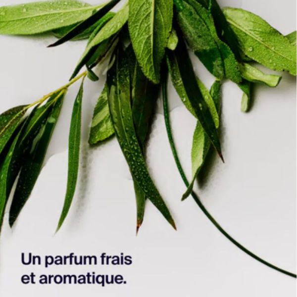 Horace déodorant protection 12h Eucalyptus & Sauge 50ml