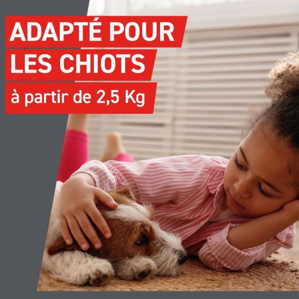 Frontline Frontcontrol-Wormer XL vermifuge pour grand chien 2 comprimés