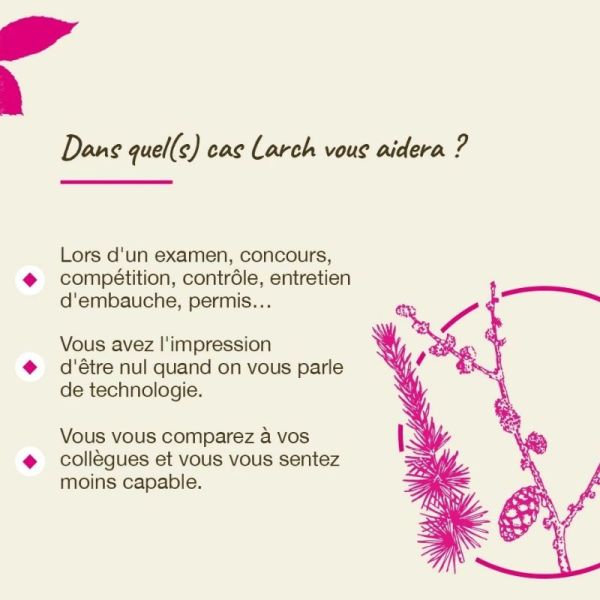 Fleurs de Bach Original Larch 20ml