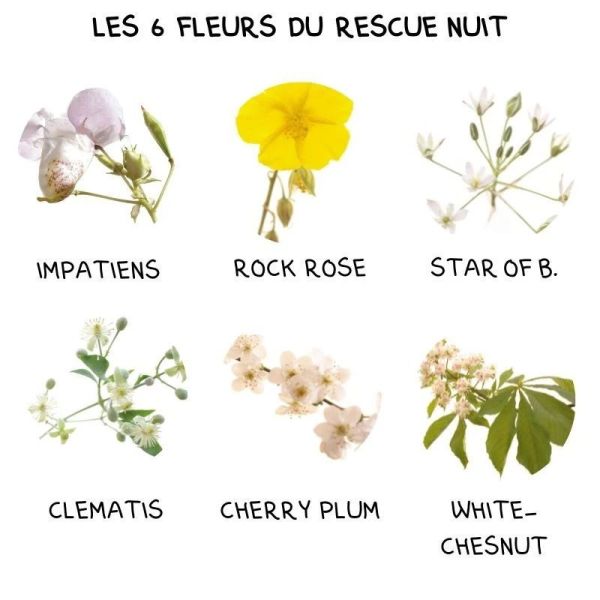 Bach Rescue Nuit compte-gouttes 10ml
