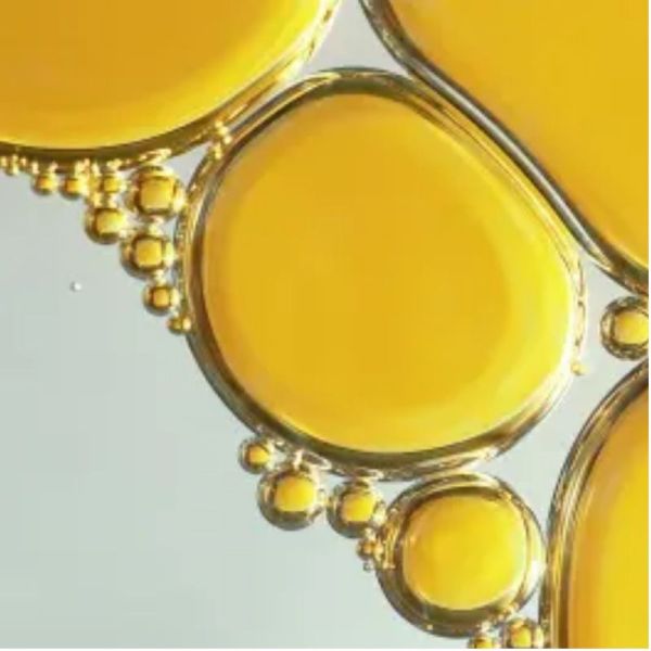 Avène DermAbsolu soin regard combleur 15ml