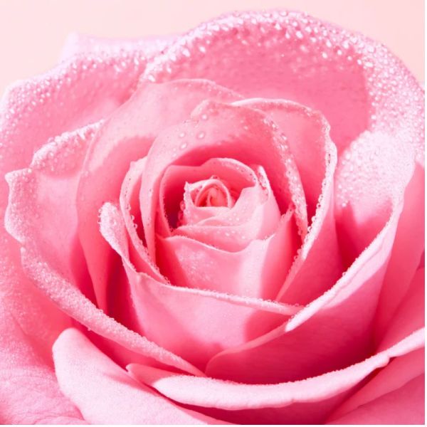 Nuxe Very Rose eau micellaire démaquillante apaisante 100ml