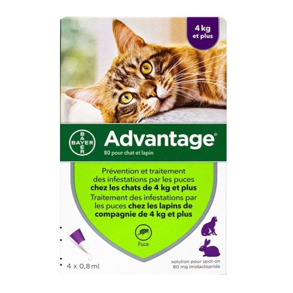 Advantage chats & lapins +4kg 4 pipettes