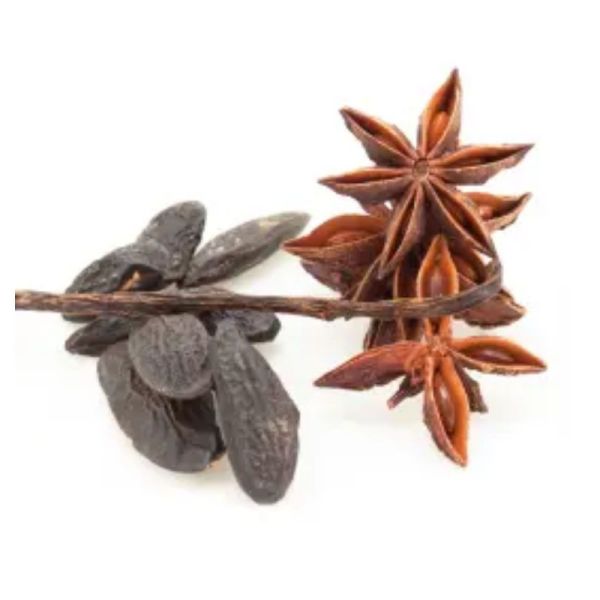 Klorane crème douche Fève de Tonka Bio nutritive 200ml