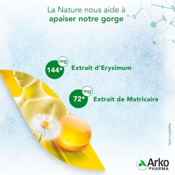 Arkopharma Activox gorge irritée 24 pastilles