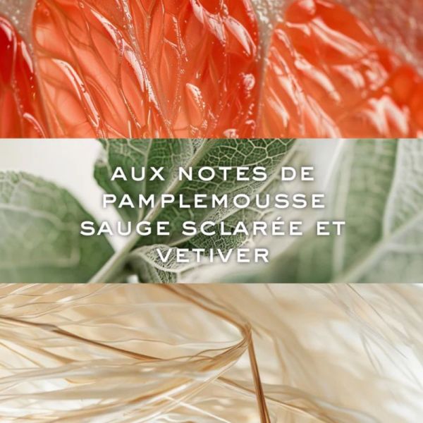 Nuxe Men  [Boost] le parfum 50ml