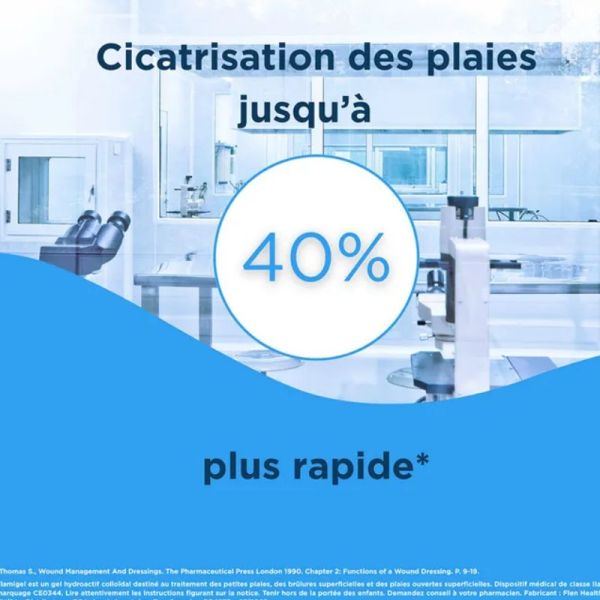 Flamigel gel cicatrisant 100g
