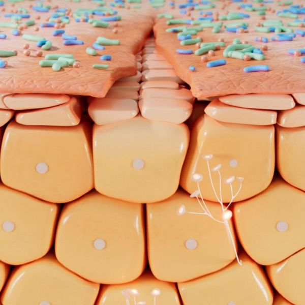 Bioderma Cicabio crème+ soin ultra réparateur 100ml