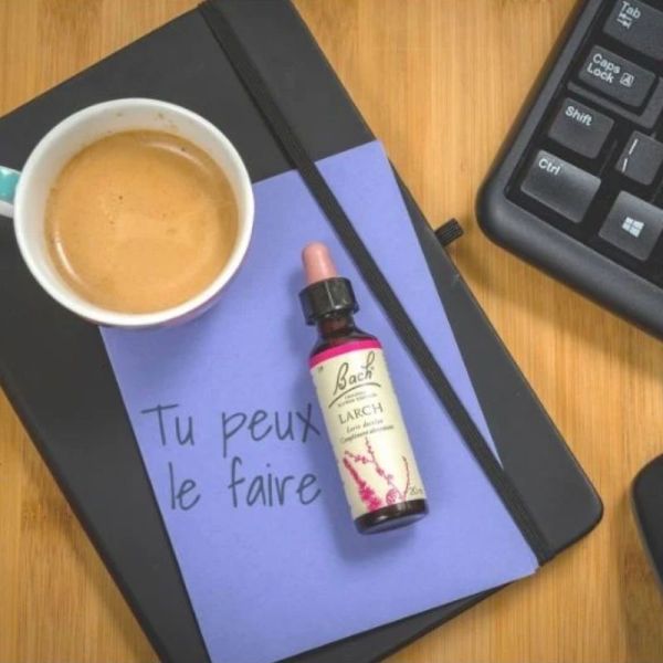 Fleurs de Bach Original Larch 20ml