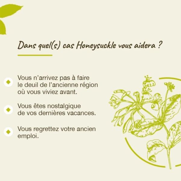 Fleurs de Bach Original Honeysuckle 20ml
