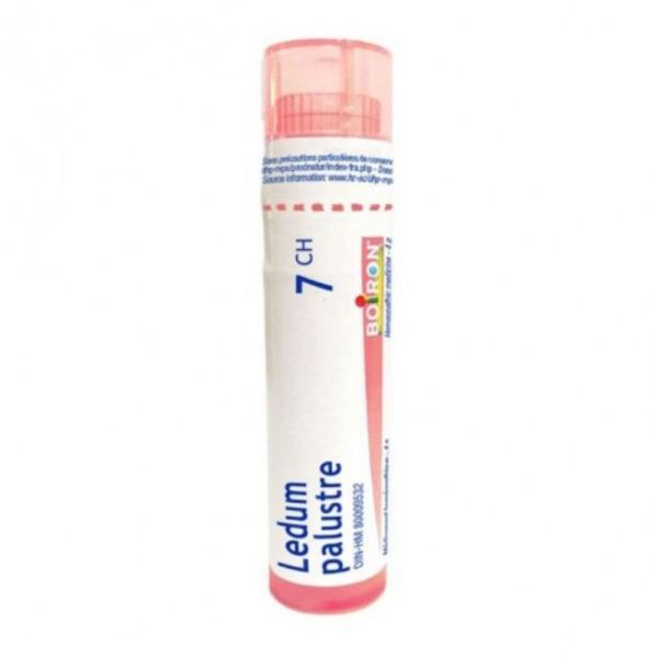 Boiron Ledum Palustre 7CH Tube 80 Granules