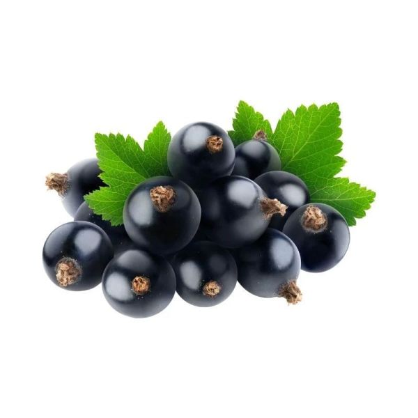 Bach Rescue Nuit pastilles saveur cassis 50g