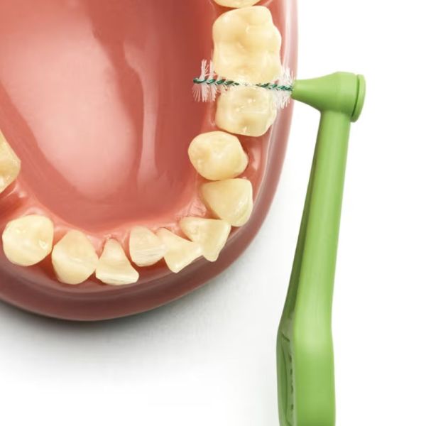 TePe Brossettes Interdentaires Angle vert 6 Unités Taille 5
