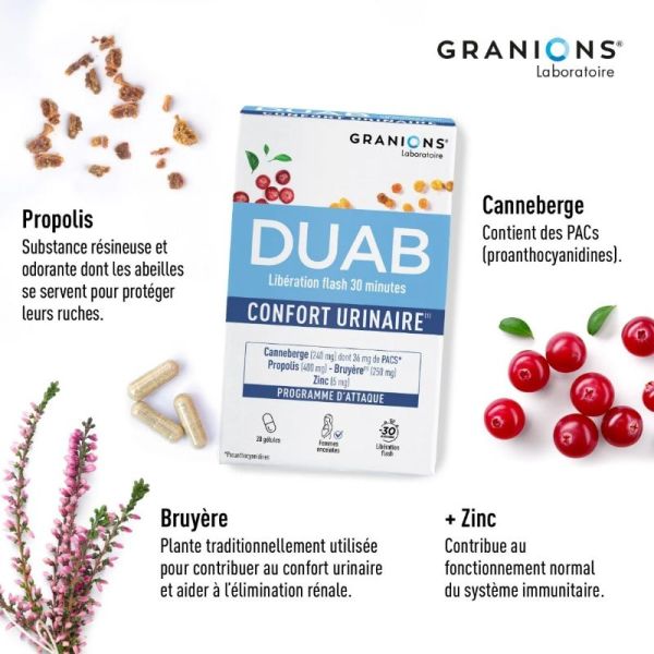Granions Duab confort urinaire 60 gélules