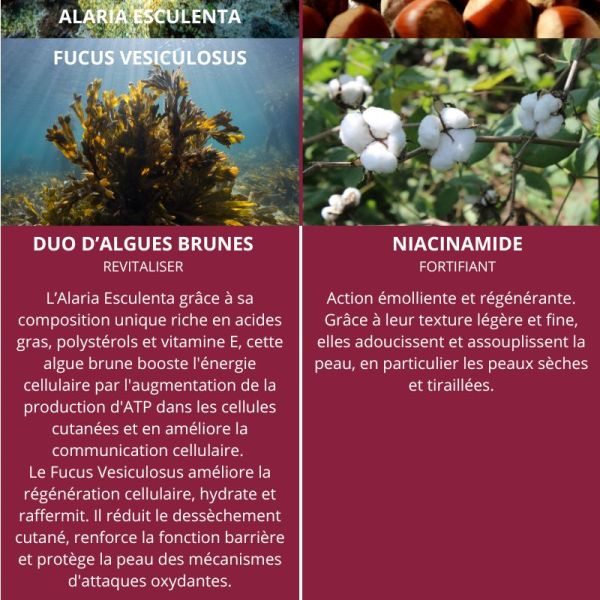 Algologie Elixir Pen Lan huile visage précieuse revitalisation intensive 30ml