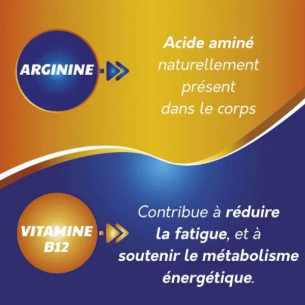 Sargenor fatigue intense arginine & vitamine B12 20 ampoules