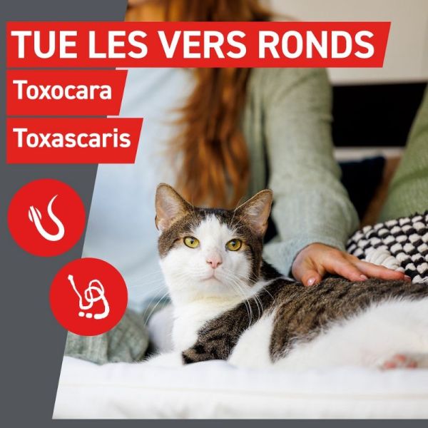 Frontline Frontcontrol-Wormer Vermifuge Chats 2 comprimés