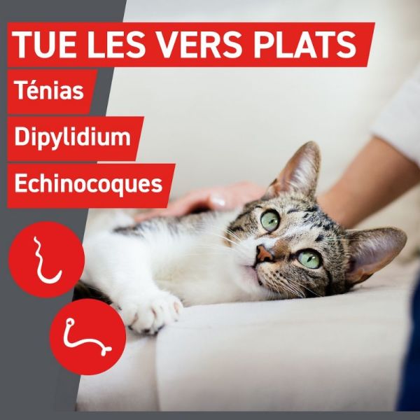 Frontline Frontcontrol-Wormer Vermifuge Chats 2 comprimés