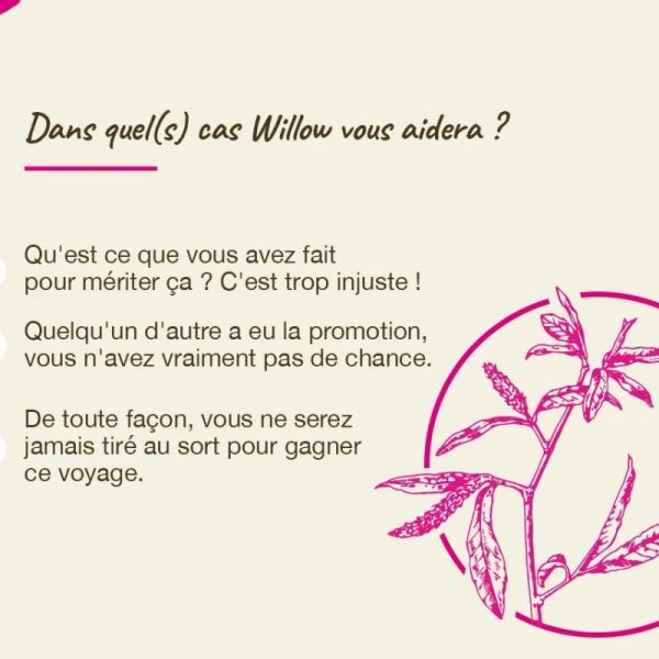 Fleurs de Bach Original Willow 20ml